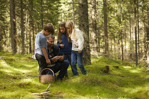 Schweden, Vater und drei Kinder sammeln Pilze im Wald - TSFF000011