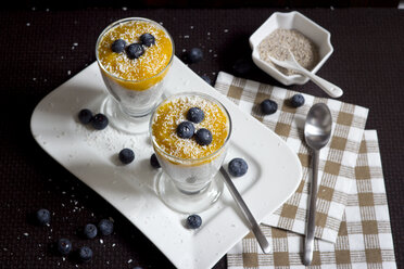 Zwei Gläser Chia-Pudding mit Mango-Bananen-Mus, Blaubeeren und Kokosflocken - YFF000527