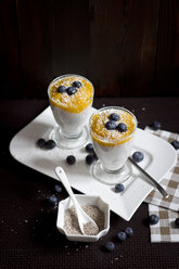 Zwei Gläser Chia-Pudding mit Mango-Bananen-Mus, Blaubeeren und Kokosflocken - YFF000529