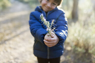 Little boy offering blossoming twig of rosemary - VABF000125