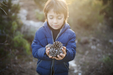 Little boy with handful of fir cones - VABF000131