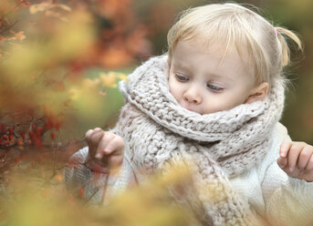 Portrait of little blond girl wearing big scarf in autumn - NIF000077