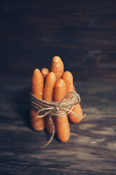Bunch of five carrots on dark wood - JPF000112