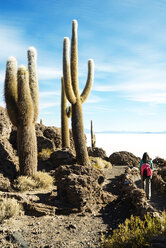 Bolivia, Atacama, Altiplano, Salar de Uyuni, Woman walking among the cactus, Incahuasi island - GEMF000707