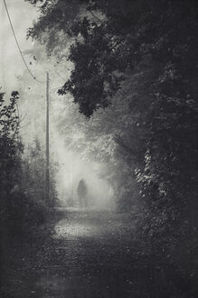 Silhouette of a man on path during fog - DWIF000680