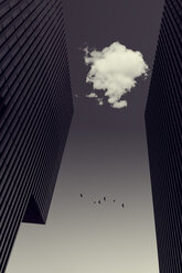 Wolke zwischen Bürotürmen, fliegende Vögel, digital manipuliert - DWIF000684