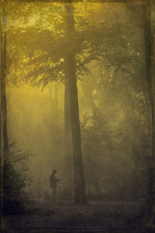 Mann bei Nebel im Wald, lizenzfreies Stockfoto