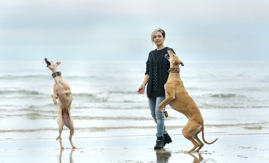 Spain, Llanes, young woman playing with her greyhounds on the beach - MGOF001371