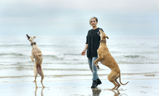 Spanien, Llanes, junge Frau spielt mit ihren Windhunden am Strand - MGOF001371