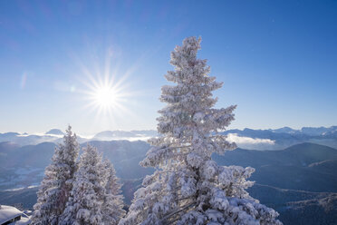 Germany, Upper Bavaria, Lenggries, view from Brauneck with snow-covered spruces - SIEF006940