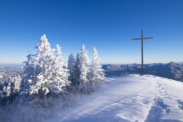 Deutschland, Oberbayern, Lenggries, Fichten und Gipfelkreuz auf schneebedecktem Brauneck - SIEF006942