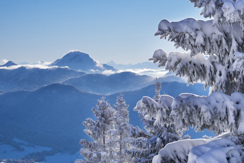 Deutschland, Oberbayern, Blick vom Brauneck mit schneebedeckten Fichten zum Guffert, lizenzfreies Stockfoto