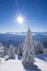 Deutschland, Oberbayern, Lenggries, schneebedeckte Landschaft am Brauneck - SIEF006946