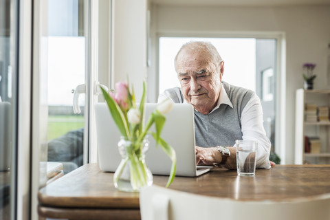 Portrait of senior man using laptop at home stock photo