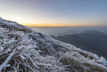 Italien, Marken, frostbedeckte Pflanzen auf dem Monte San Vicino - LOMF000212