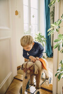 Boy entering a room with old plush elephant - MFF002698