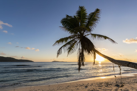 Seychelles, La Digue, Anse Fourmis, beach with palm and swing at sunset stock photo