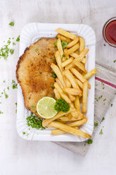 Schnitzel with french fries and ketchup on paper plate - ODF001372