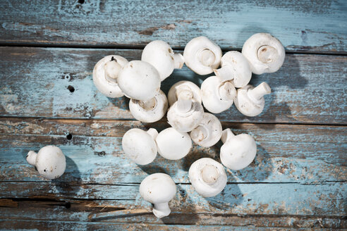 Champignons auf hellblauem Holz - MAEF011263