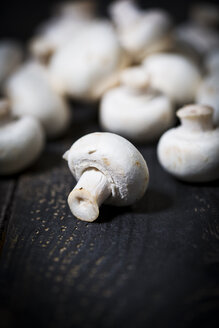 Champignons auf dunklem Holz - MAEF011265