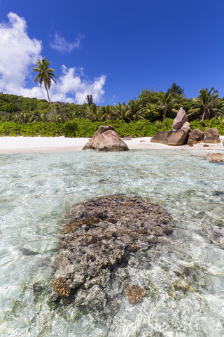 Seychellen, La Digue, Indischer Ozean, Anse Cocos, Strand, lizenzfreies Stockfoto