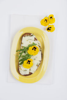 Brotscheibe garniert mit Pecorino-Käse, Rucola und Stiefmütterchen - GWF004621