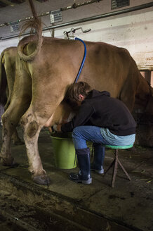 Junge schmilzt eine Kuh - TKF000432