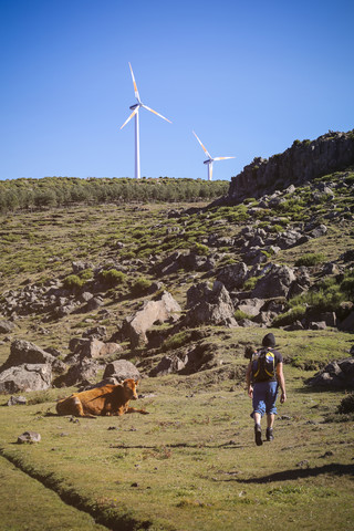 Portugal, Madeira, Mann auf Wandertour entlang der Levadas, lizenzfreies Stockfoto