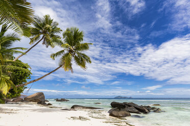 Seychelles, Silhouette Island, Beach La Passe, Presidentel Beach, palm with hammock - FOF008437