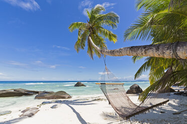 Seychelles, Silhouette Island, Beach La Passe, Presidentel Beach, palm with hammock - FOF008438