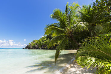 Seychelles, Pointe Varreur, Beach - FOF008440