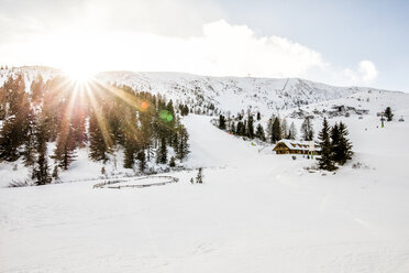 Österreich, Turracher Höhe, Winterlandschaft im Gegenlicht - DAWF000520