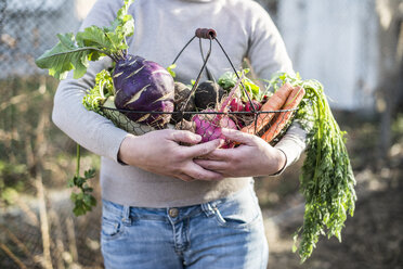 Partial view of woman holding wire basket with root vegetables - DEGF000620