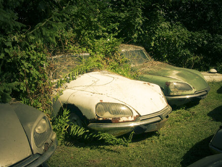 Frankreich, Schrottplatz mit alten Citroen DS Autos - PUF000495