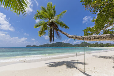 Seychelles, Mahe Island, beach Baie Lazare, swing hanging on cocos palm - FOF008456