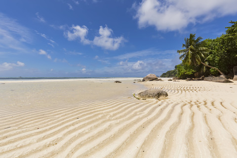 Seychelles, Indian Ocean, Mahe Island, beach Anse Royale, low tide stock photo