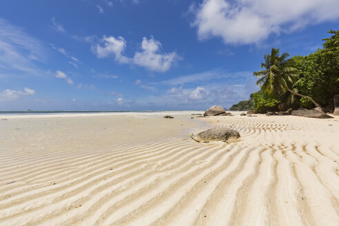Seychellen, Indischer Ozean, Insel Mahe, Strand Anse Royale, Ebbe - FOF008457