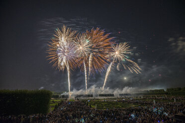 Germany, Hannover, international fireworks competition at Herrenhausen Gardens - PVCF000772