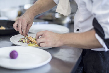 Restaurantkoch beim Anrichten der Speisen auf dem Teller - ZEF008540