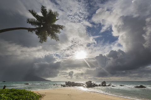 Seychellen, Indischer Ozean, Insel Mahe, Glacis Beach, Palme und Granitfelsen am Strand, lizenzfreies Stockfoto