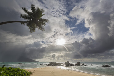 Seychellen, Indischer Ozean, Insel Mahe, Glacis Beach, Palme und Granitfelsen am Strand - FOF008463