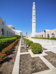 Oman, Muscat, Große Moschee Sultan Qaboos - AM004780