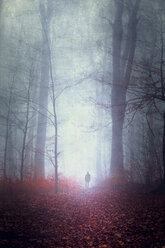 Germany, silhouette of man walking on forest track in fog - DWI000698