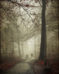 Deutschland, Silhouette eines Mannes, der im Winterwald spazieren geht - DWI000703
