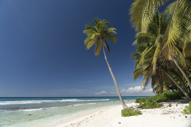 Carribean, Dominican Republic, beach on the Caribbean Island Isla Saona - PCF000238