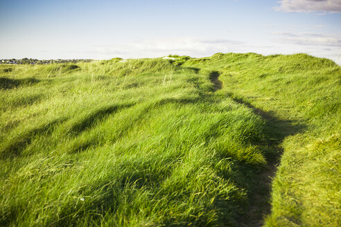 Irland, Landschaft in Connemara - GIOF000770