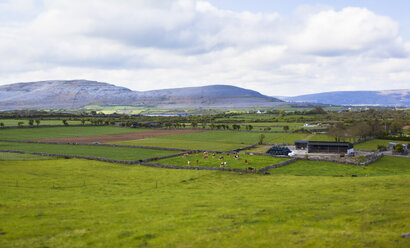 Ireland, Landscape in Connemara - GIOF000771