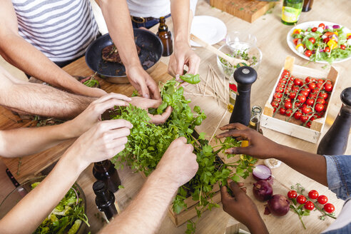 Friends in kitchen plucking leaves from herbs - FMKF002285