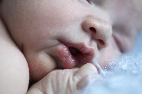 Face of a newborn, close-up - SHKF000505