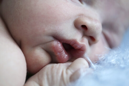 Gesicht eines Neugeborenen, Nahaufnahme - SHKF000505